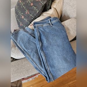 Everlane "The Way High Skinny Jean"